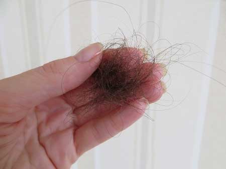 Минимум выпадения волос в день