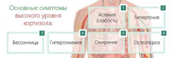 Как стресс влияет на анализ крови на гормоны